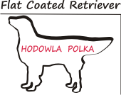 Hodowla Polka Poland FCI