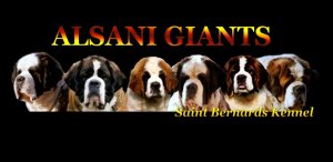 Alsani Giants  