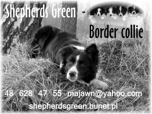 Shepherds Green