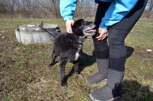 Prze(bieda), Gruni walczcy z marzeniami!