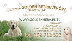 Golden Retriever reproduktor