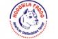 Hodowla Frdodo - American Staffordshire Terrier