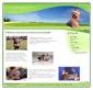 Yorkshire Terrier - hodowla Stellar Garden FCI