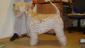 Irish Soft Coated Wheaten Terrier- Terier Pszeniczny- ZAPOWIEDŹ MIOTU maj/czerwiec 2014 rok